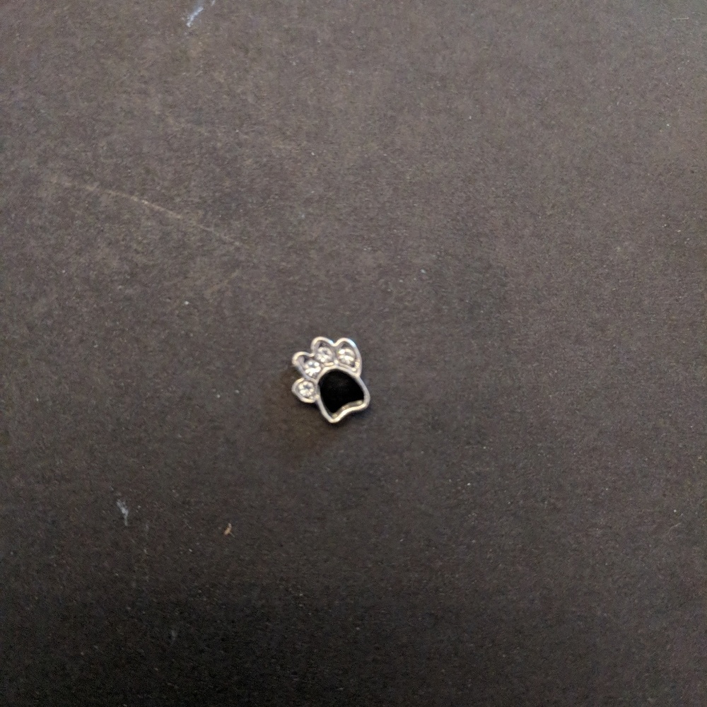 Dog or cat paw charm bundle for less